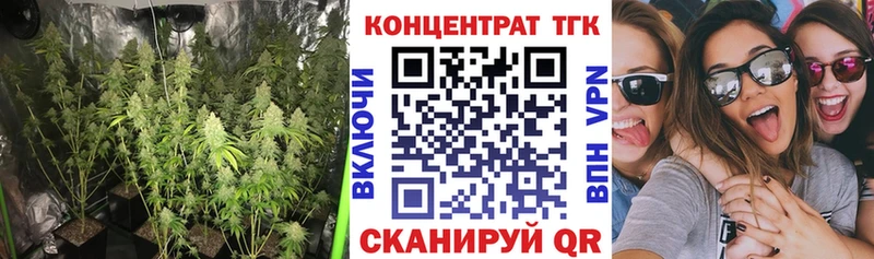 Купить где  Пермь  ТГК жижа 