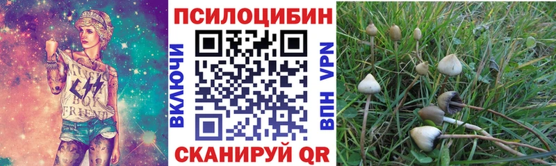 Купить  Пермь  Псилоцибиновые грибы GOLDEN TEACHER 